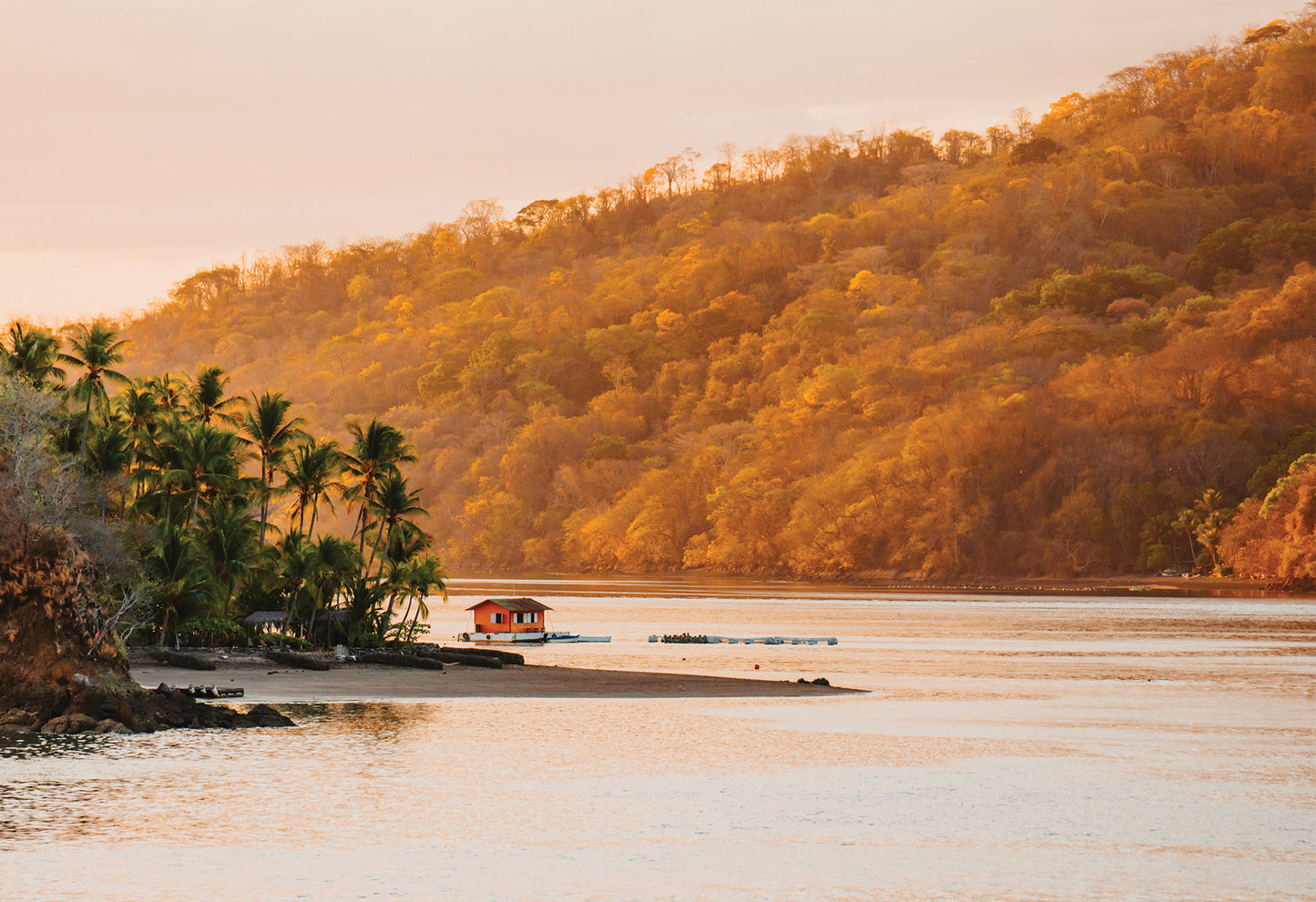 A lagoon scene from Costa Rica where the evening sun is making the jungle glow gold, an a house boat sits just off the edge of the bank - a fine art print by Evie Johnstone.