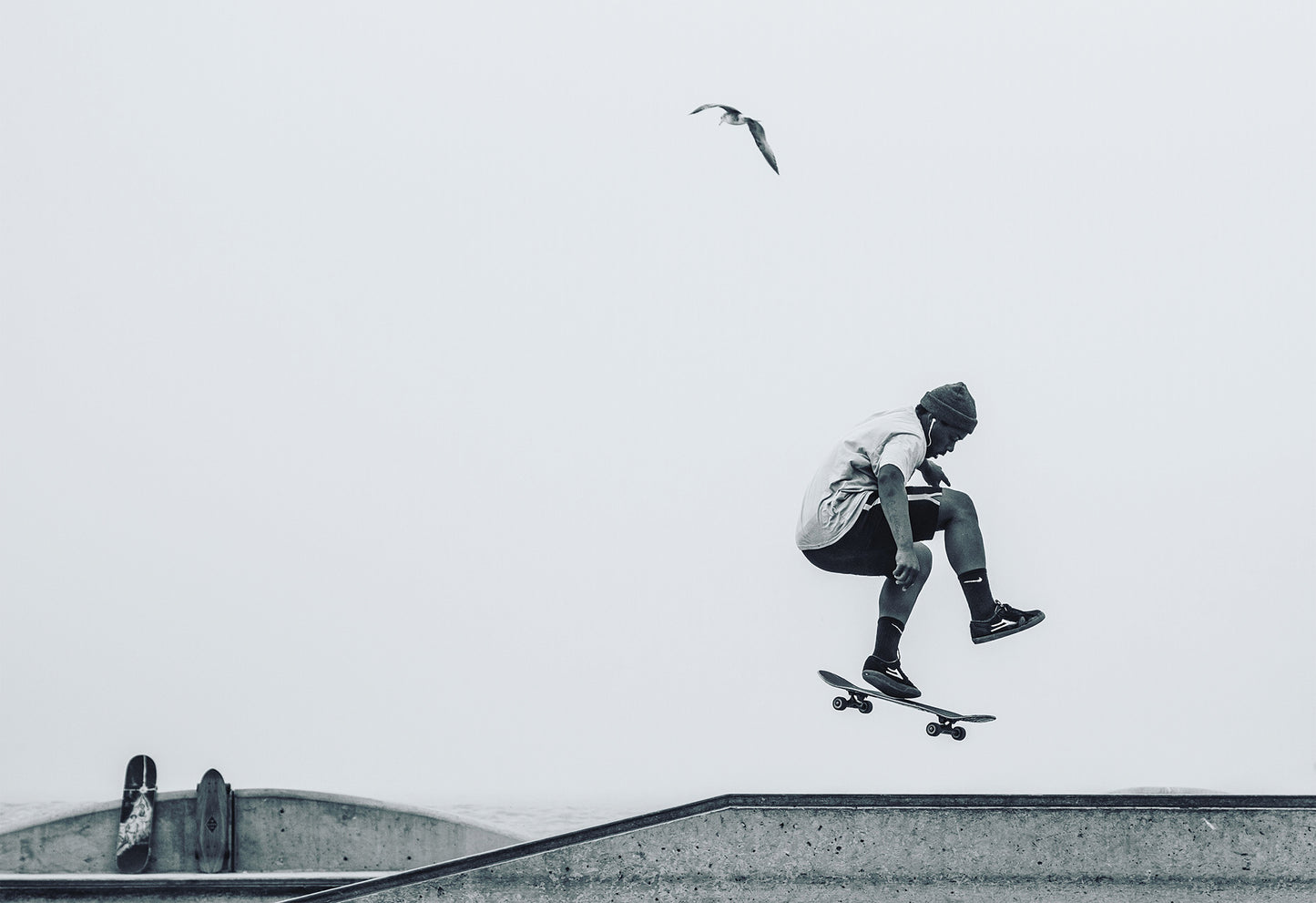 Black-and-white photo of a skateboarder mid-air at Venice Skatepark with a seagull flying above, set against a minimalist sky.
