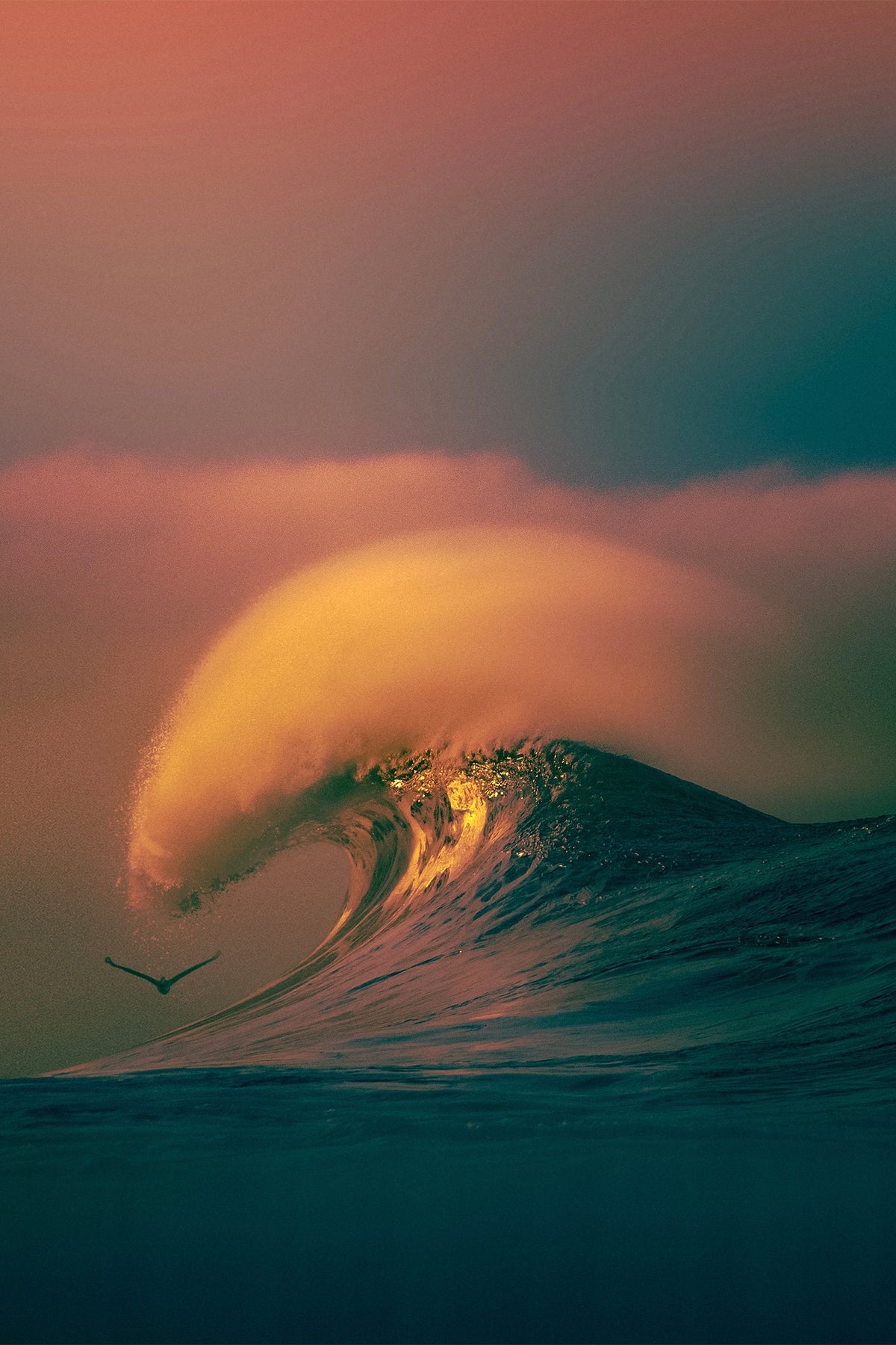 Sunset photograph of a golden wave cresting at Venice Beach with a bird flying beneath, captured by Craig Hubbard.