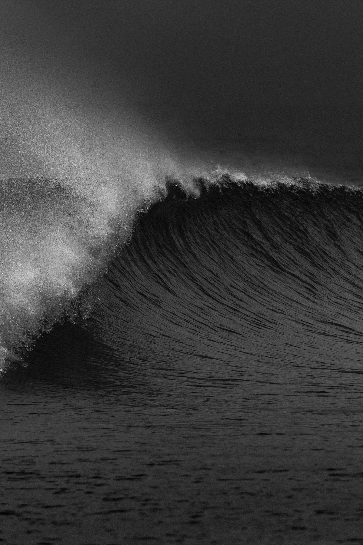Black and white photograph of a curling wave at Venice Beach by Craig Hubbard.