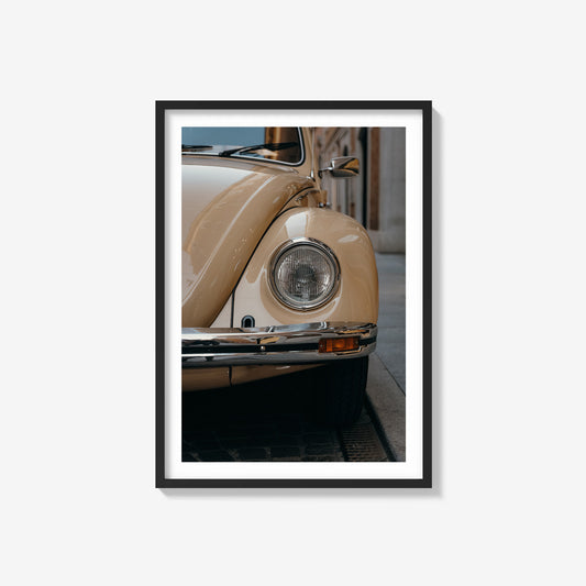 Beetle