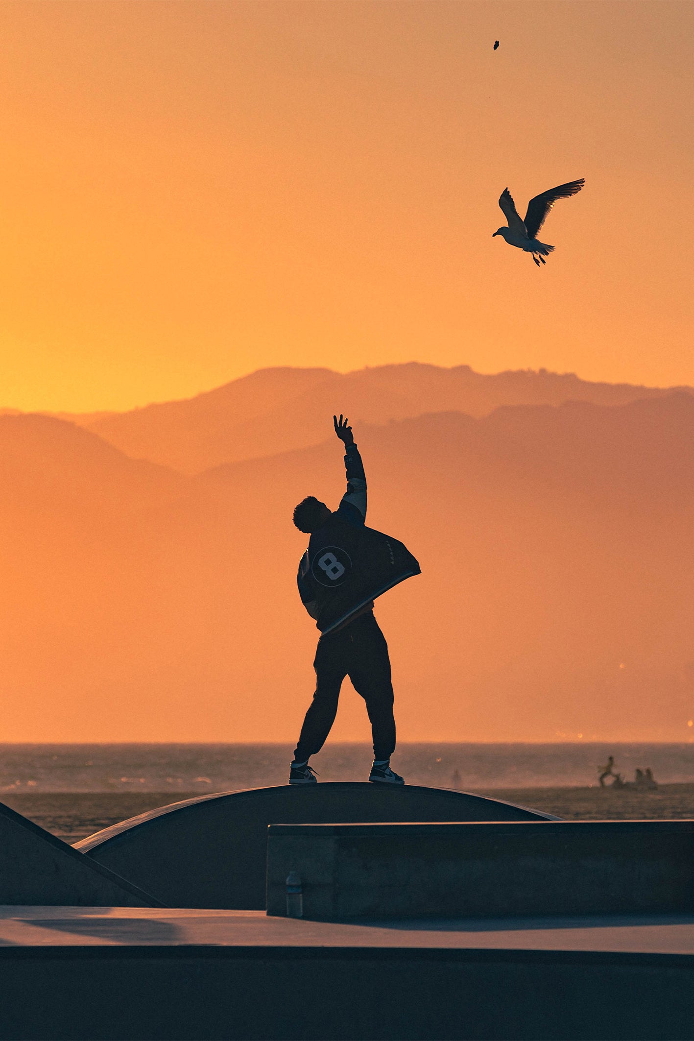 Fine art photography of a silhouetted man feeding a seagull at Venice Beach Skatepark during golden hour sunset, captured by Craig Hubbard. Warm coastal tones, perfect for modern wall art lovers.