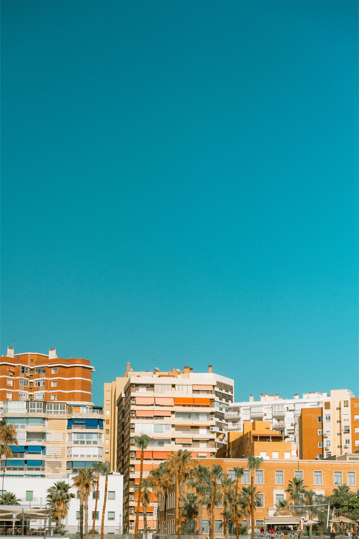 The searont apartments of Malaga with their sandy colours and palm trees sit against a bright blue sky - a fine art photography print by Evie Johnstone.