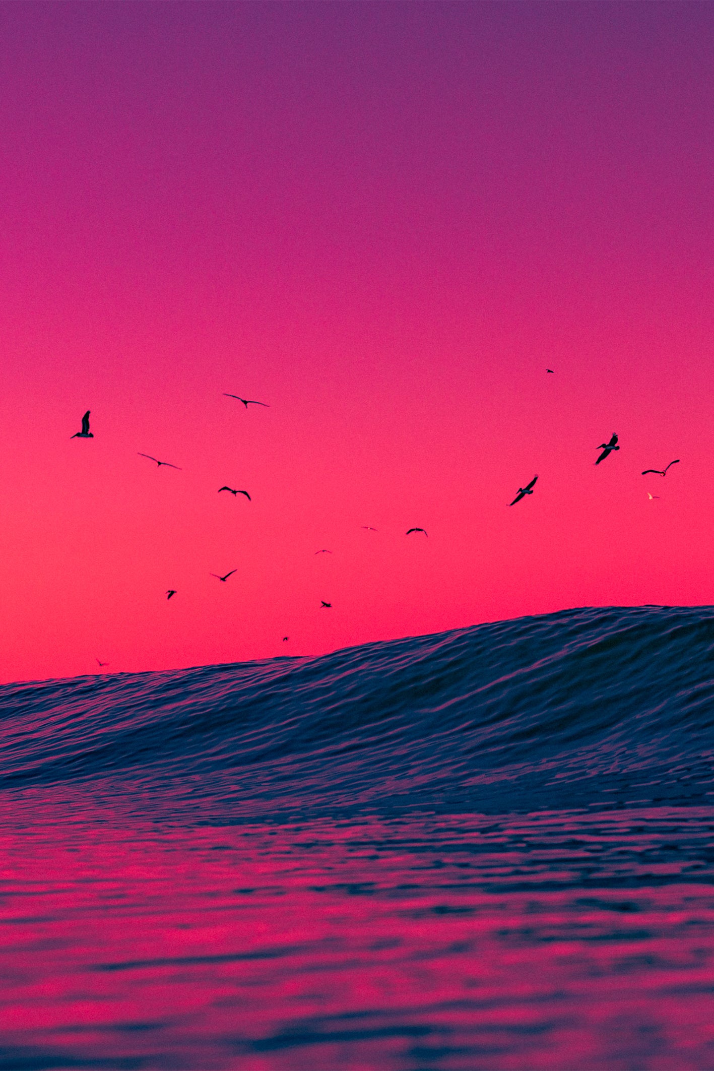 Birds soaring over an ocean wave at sunset with vivid magenta and purple skies, captured by Craig Hubbard at Venice Beach.