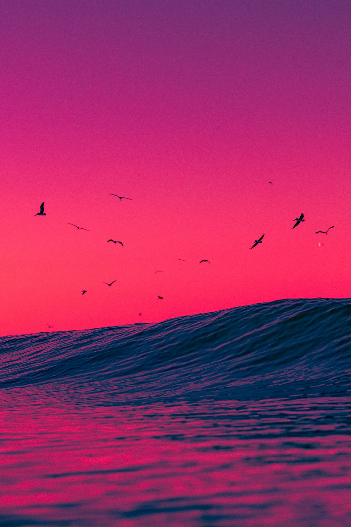 Birds soaring over an ocean wave at sunset with vivid magenta and purple skies, captured by Craig Hubbard at Venice Beach.