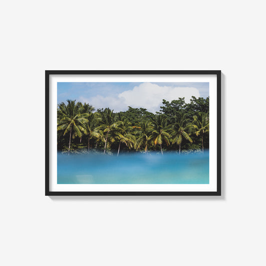 Floating Palms