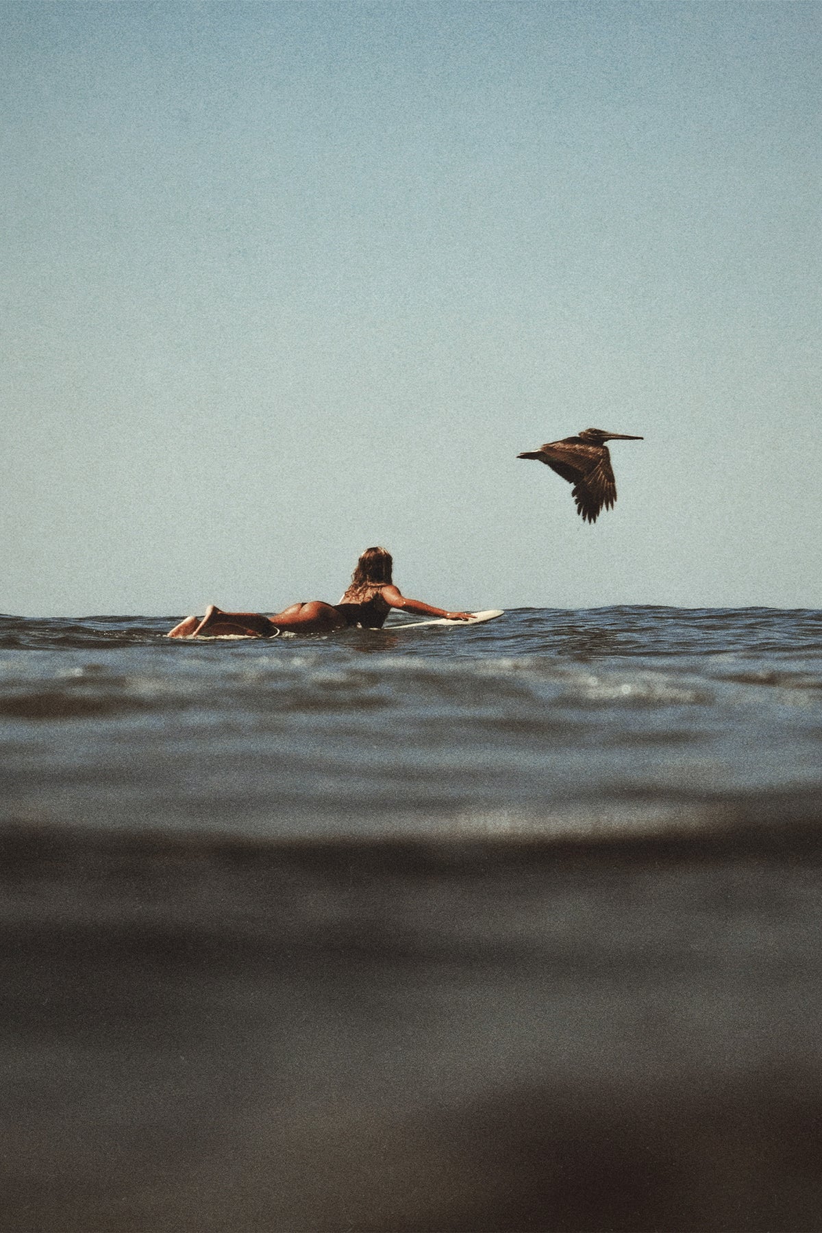 Woman lying on a surfboard in the ocean with a pelican flying overhead in Santa Teresa, Costa Rica. Vintage-style travel photograph by Ez Rivero.