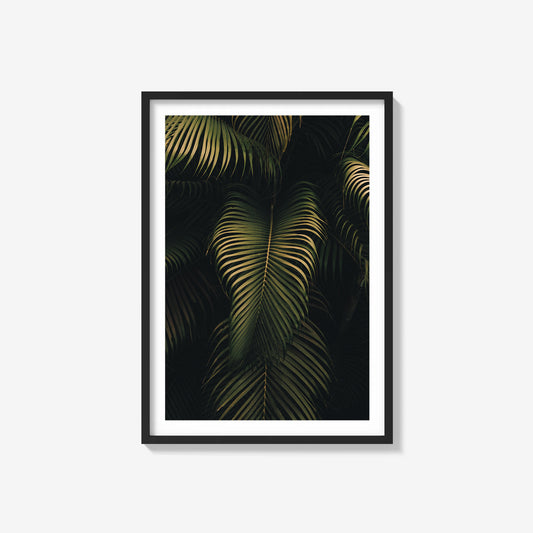 Golden Palms