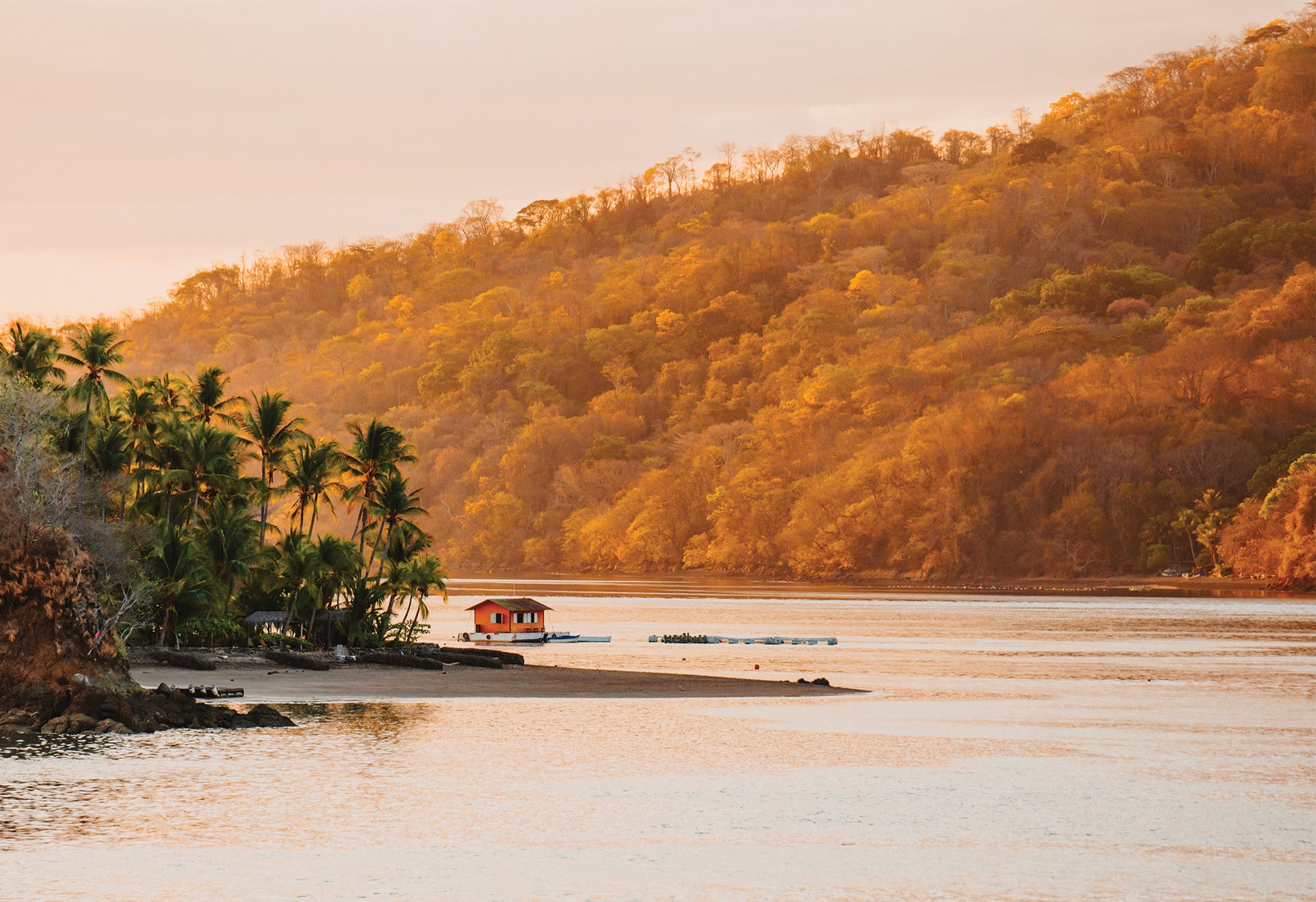 A lagoon scene from Costa Rica where the evening sun is making the jungle glow gold, an a house boat sits just off the edge of the bank - a fine art print by Evie Johnstone.