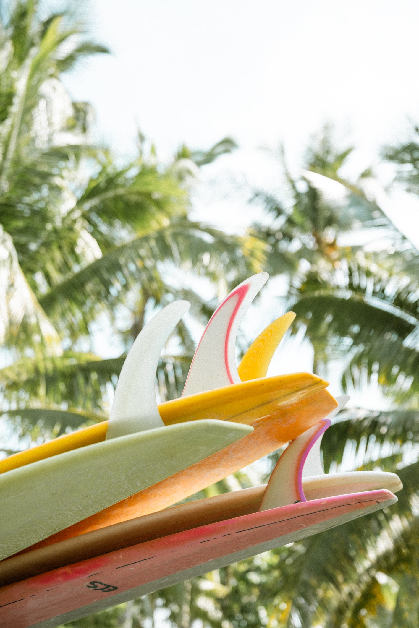 A tropical fine art print by Evie Johnstone with colourful surfboards stacked with palm trees in the background.