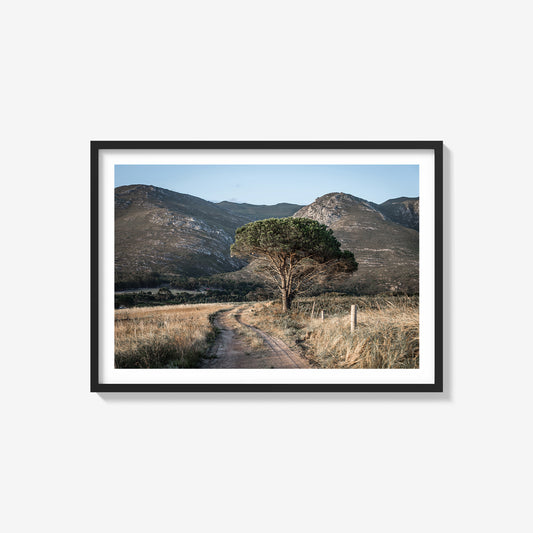 Lone Tree On A Track