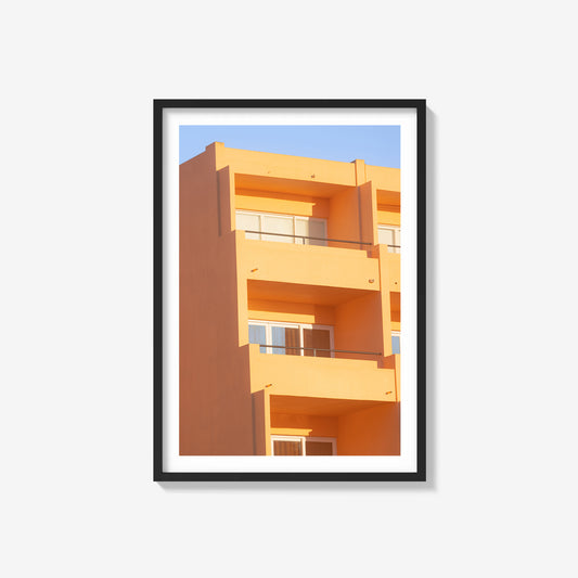 Mango Delight