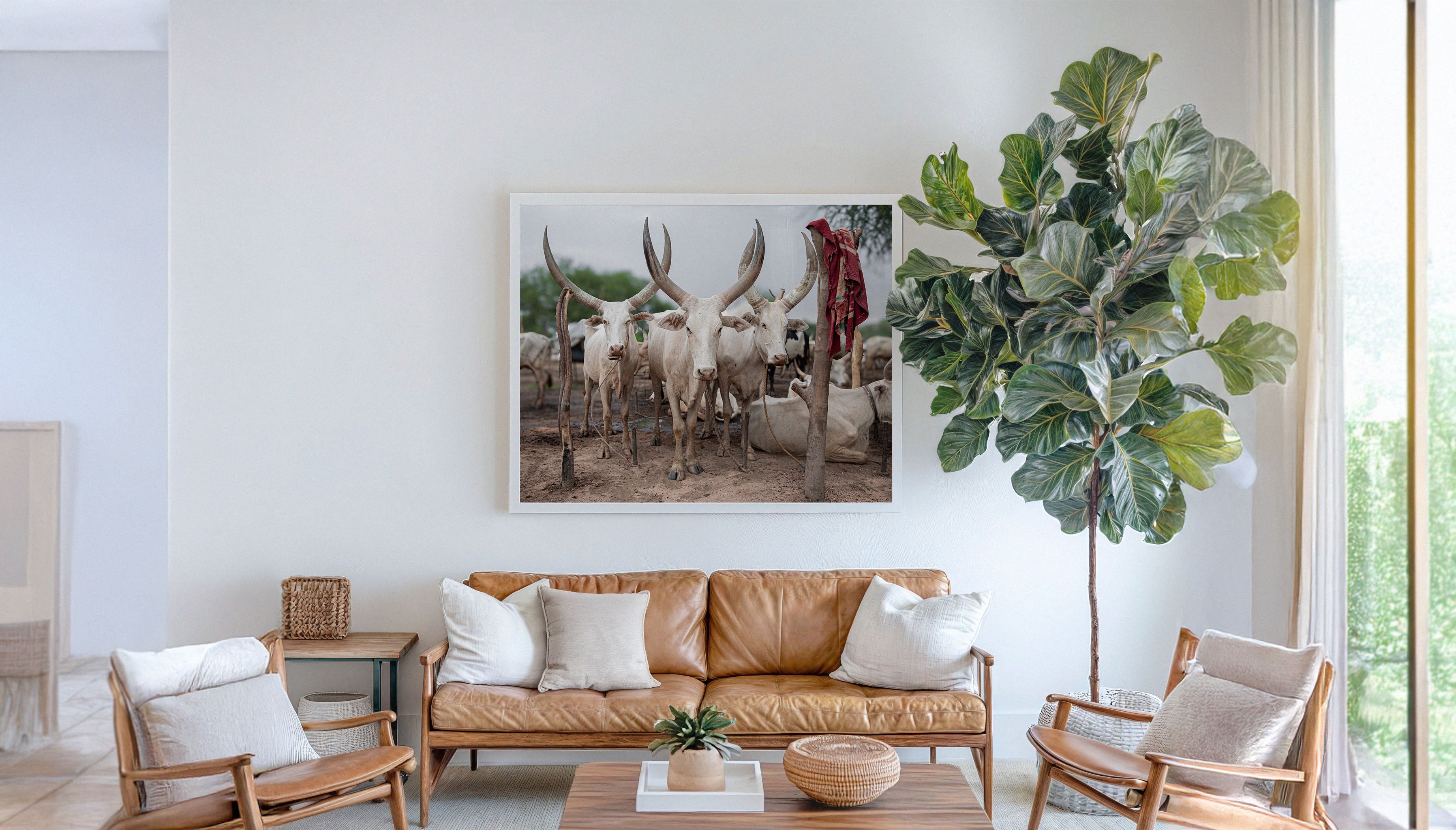 Three cows from the several hundred Ankole-Watusi cattle look face on at the camera. Majestic and long-horned, set in acrid smoke from burning fires and a dusty setting make for a powerful image in muted tones. A fine art photography print by Charles Johnstone, available exclusively on The Lost Works.