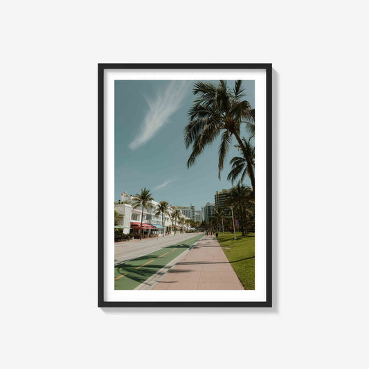 Palms on Miami