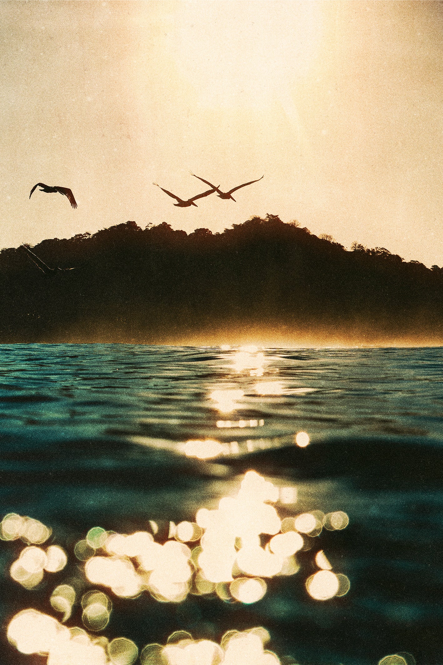 Sunset over the ocean in Santa Teresa, Costa Rica with flying pelicans and golden reflections on the water – fine art travel photography by Ez Rivero.