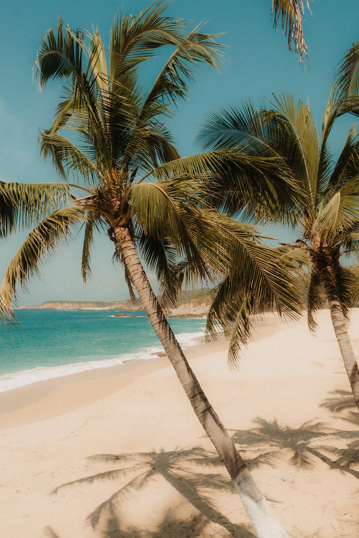 An idyllic beach scene with palm trees casting shadows on the sand in Mexico, a fine art print by Evie Johnstone.