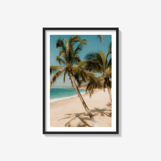 Paradise