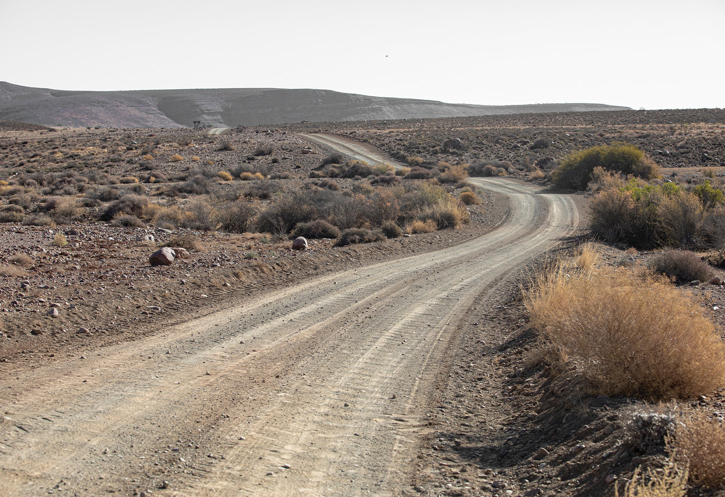 Winding dirt road through the Karoo desert landscape with sparse vegetation, a fine art print by Charles Johnstone.