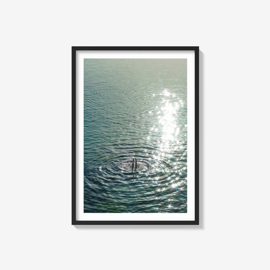 Sea Legs