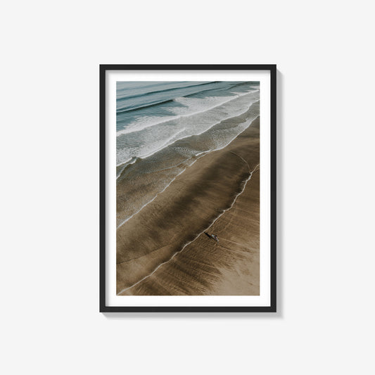 Shoreline Surfer