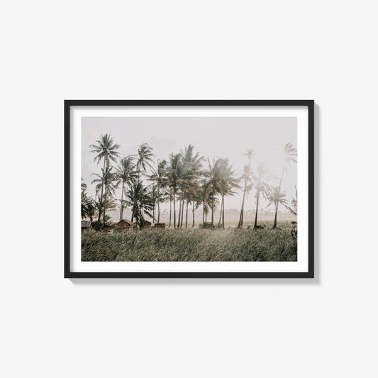 Through The Haze