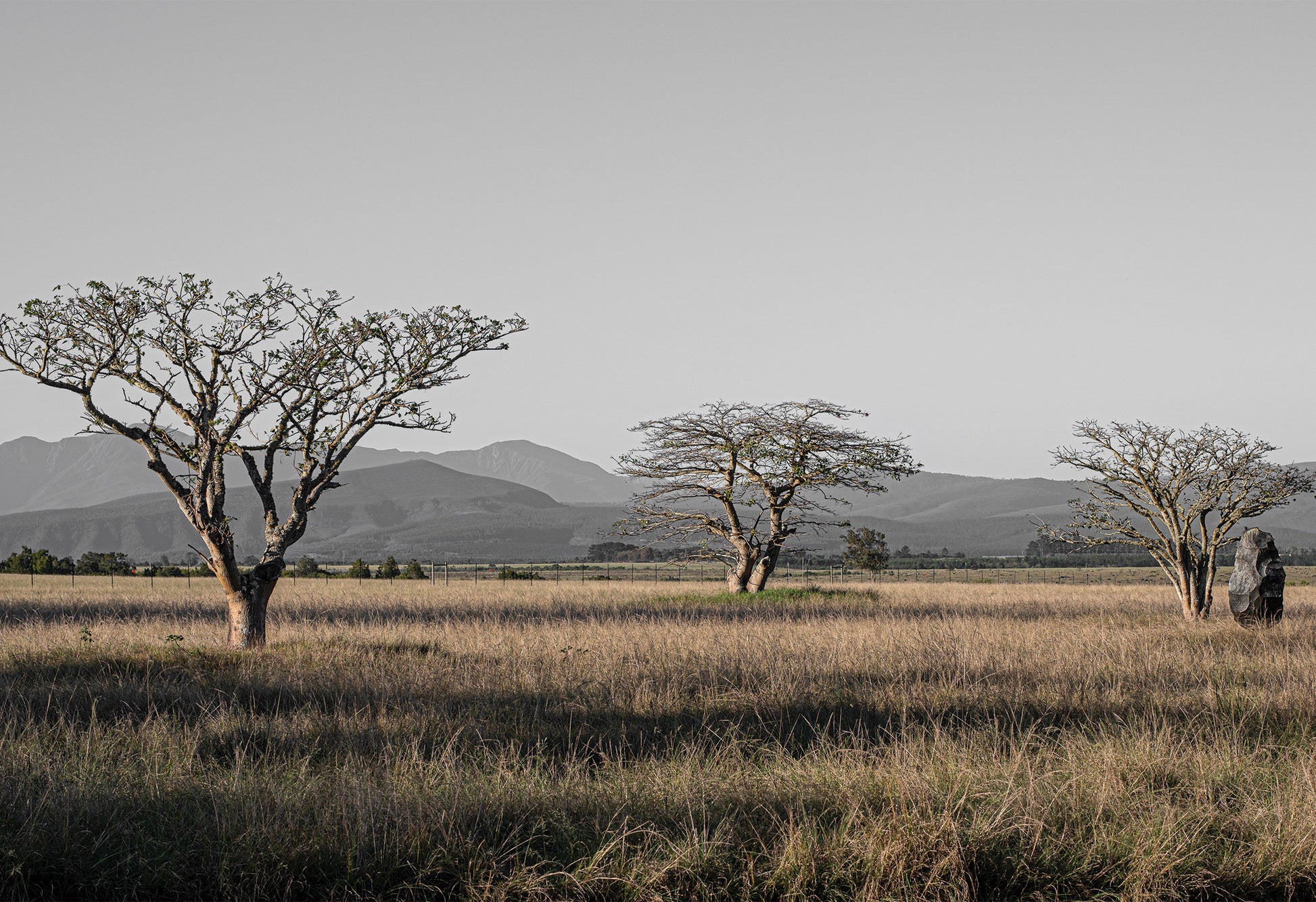 Scenic African landscape with three trees, a large rock and mountains in the distance - a fine art print by Charles Johnstone.
