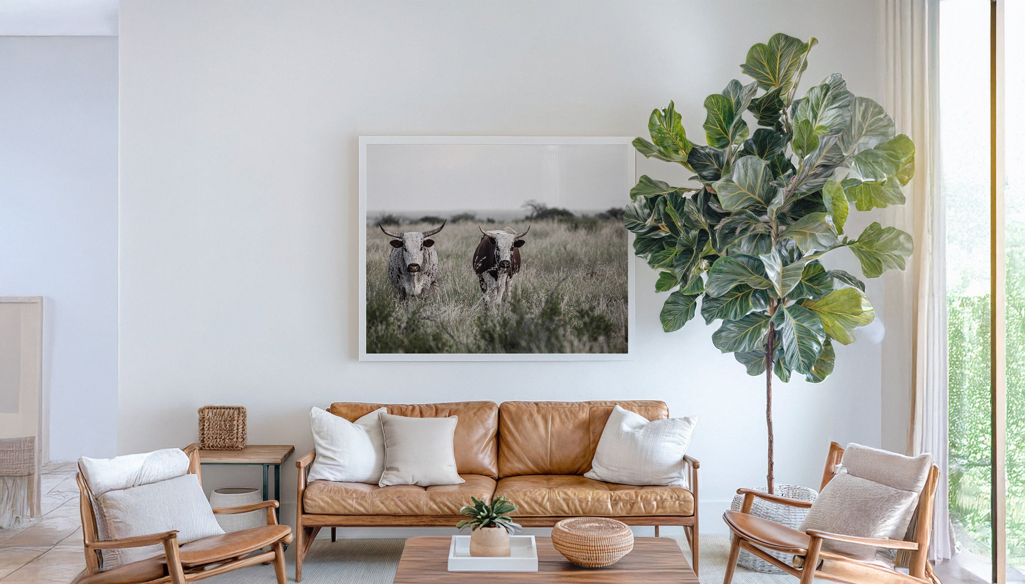 Charles Johnstone's Two Ngunis fine art print hanging on a white wall in a large white frame and a brown leather sofa.